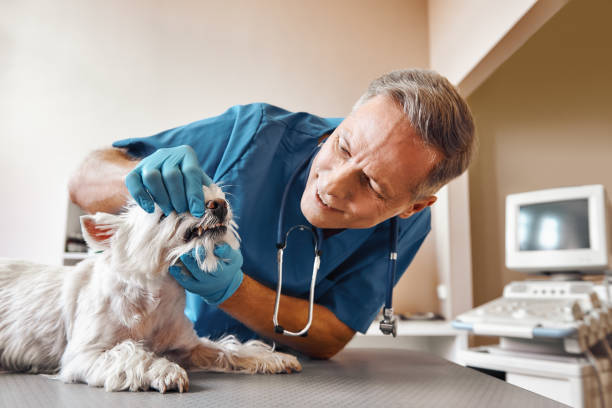Best Emergency Tooth Extraction in Holdenville, OK